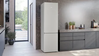 Siemens KG39N2ICF iQ300 Koel-vriescombinatie