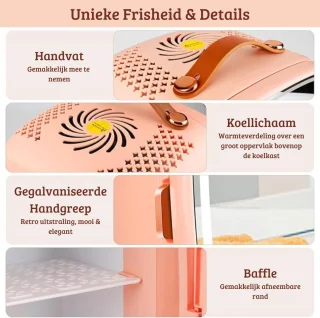 Skincare Beauty Fridge Mini Koelkast 6L Flamingo