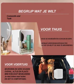 Skincare Fridge Mini Koelkast