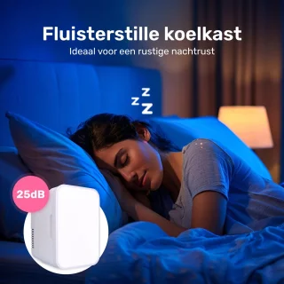 Soft & Silky Mini Skincare Fridge inclusief Roller
