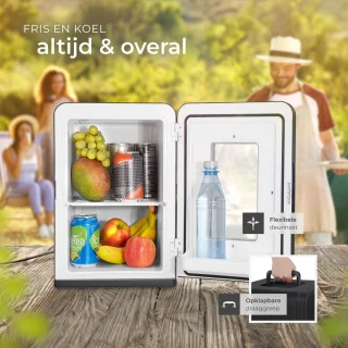 tectake Mini-Autokoelkast 14L Draagbare Minibar