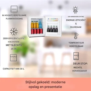 White-label Mini Koelkast Minibar Zilver