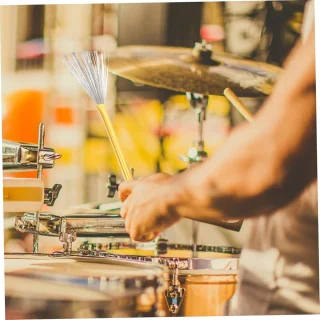 Drum borstels - 35 cm - assorti