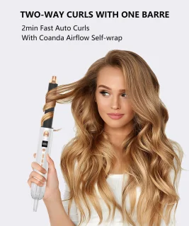 Lucellia Fohnborstel 6-in-1 Multistyler