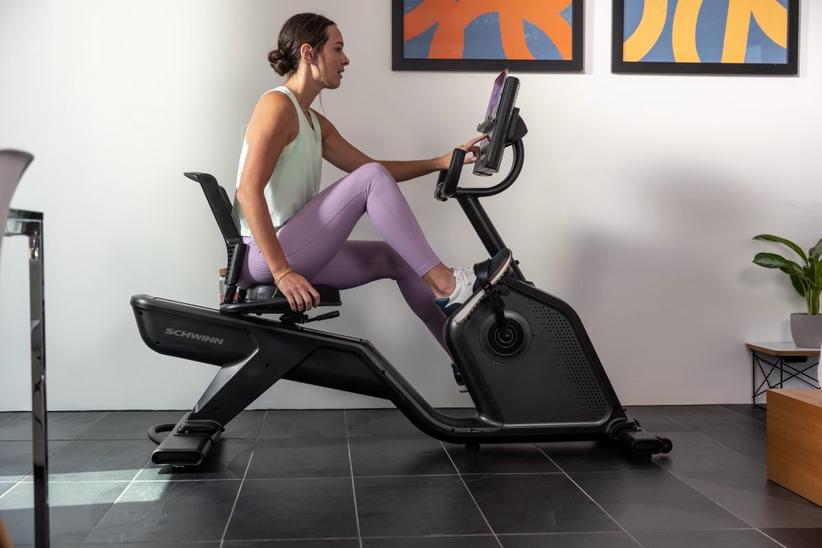 Schwinn 590R Hometrainer Recumbent Bike Ergometer