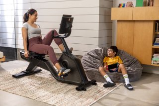Schwinn 590R Hometrainer Recumbent Bike Ergometer