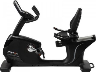 De Taurus RB9.9 Ligfiets in één oogopslag