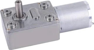 24v microtype wormwielmotor