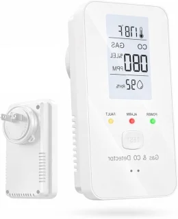 Gas en CO detector