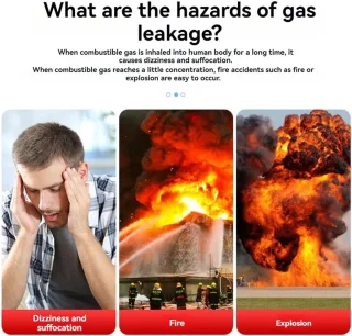 Gaslekdetector brandbaar gas zwart