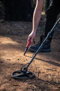 Minelab Manticore zoekschijf 9 DD