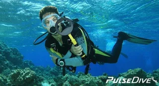 Nokta Makro Pulse Dive Gele Metaaldetector