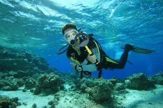 Nokta Makro PulseDive Gele Pinpointer Metaaldetector