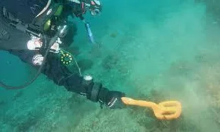 Quest Scuba Tector onderwater metaaldetector