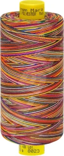 Naaimachine garen - garenset polyester garen - kleurverloop effect - 1000 meter - multicolor