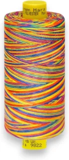 Naaimachine garen - garenset polyester garen - kleurverloop effect - 1000 meter - multicolor