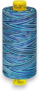 Naaimachine garen - garenset polyester garen - kleurverloop effect - 1000 meter - multicolor