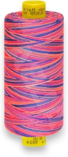 Naaimachine garen - garenset polyester garen - kleurverloop effect - 1000 meter - multicolor