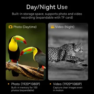 Nachtkijker - Nacht Verrekijker - Met Infrarood - Digitaal - 800m - Nachtzicht - 1080P