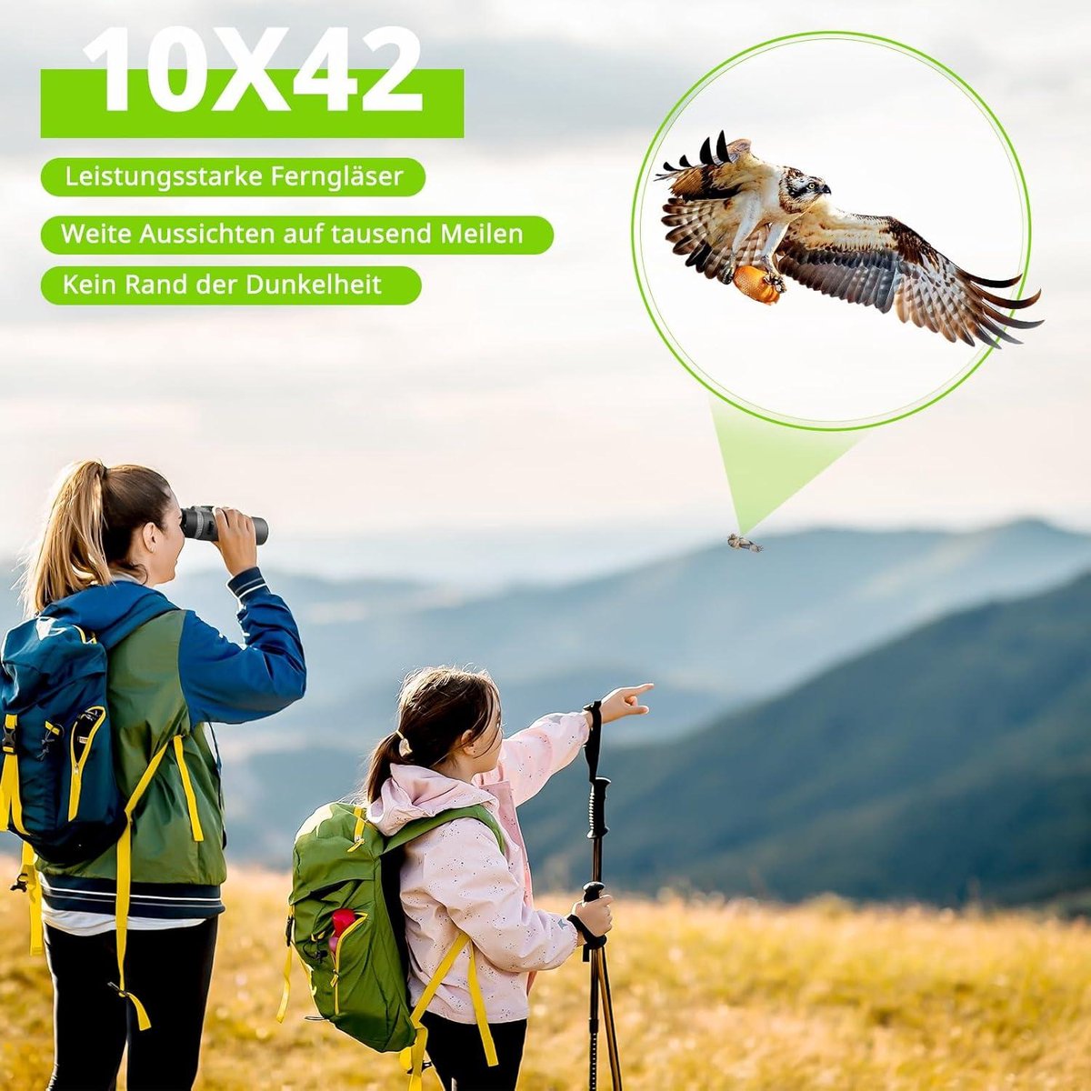 Wat vinden we goed aan de 10x42 HD compacte waterdichte verrekijker zwart Nachtkijker