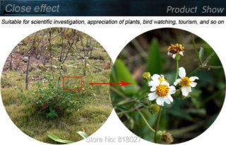 Wat vinden we goed aan de 10x42 Verrekijker
