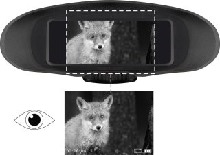 Wat vinden we minder goed