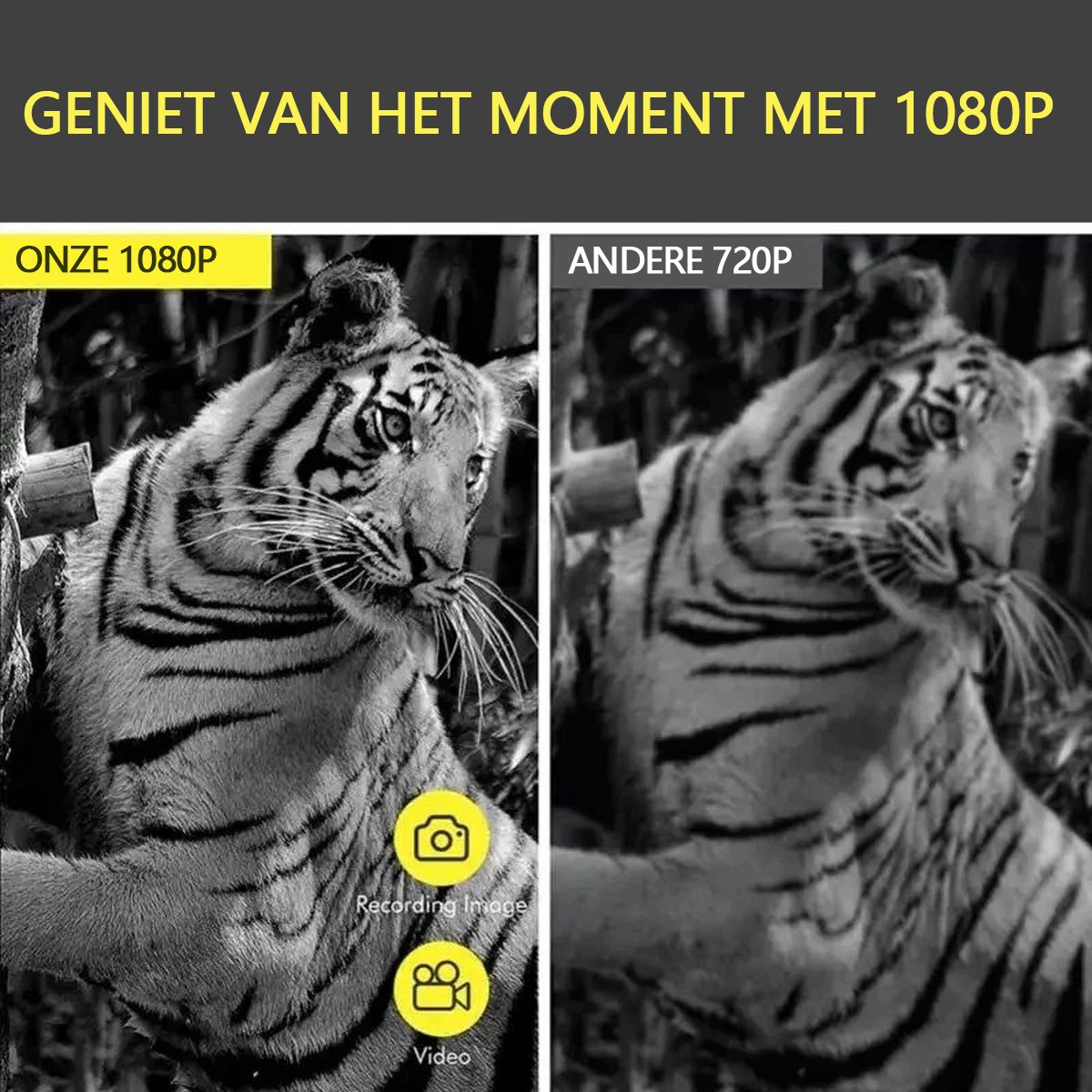 Advies voor kopers