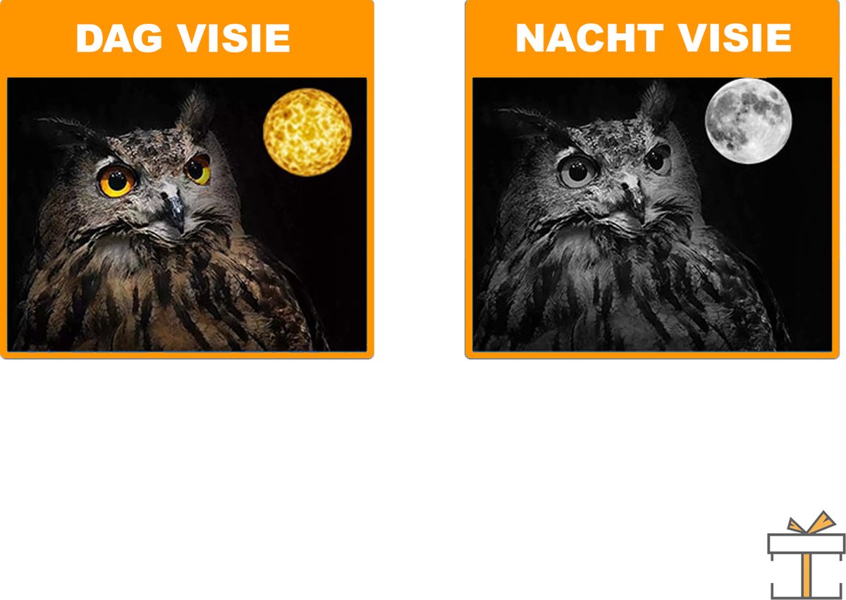 Conclusie