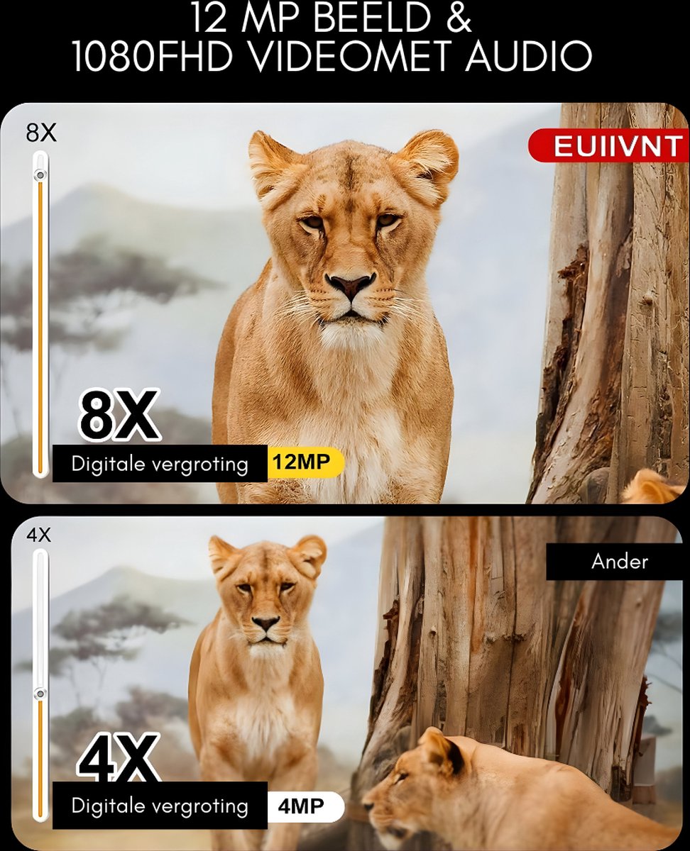 Conclusie