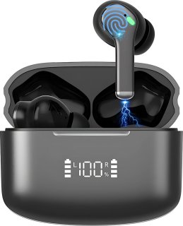 De Bluetooth draadloze oordopjes - Zwart in één oogopslag