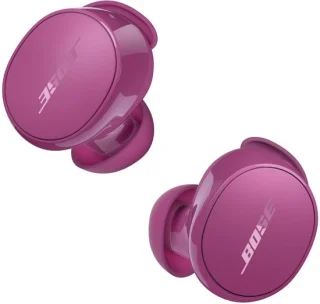 Bose QuietComfort Earbuds Rosewood Mauve