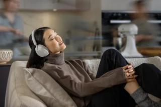 Sony WH-1000XM5 Draadloze Koptelefoon Zilver