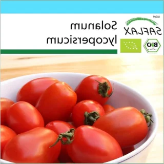 Biologische tomatenzaden kweekset - oud Italiaans ras (10 zaden)