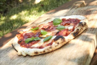 Cozze 17" Elektrische Pizzaoven PREMIUM ROTATE 230V