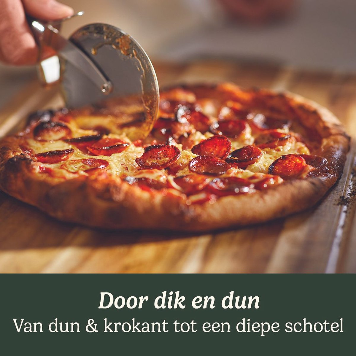 Cuisinart Pizza Oven houtgestookt RVS compleet set