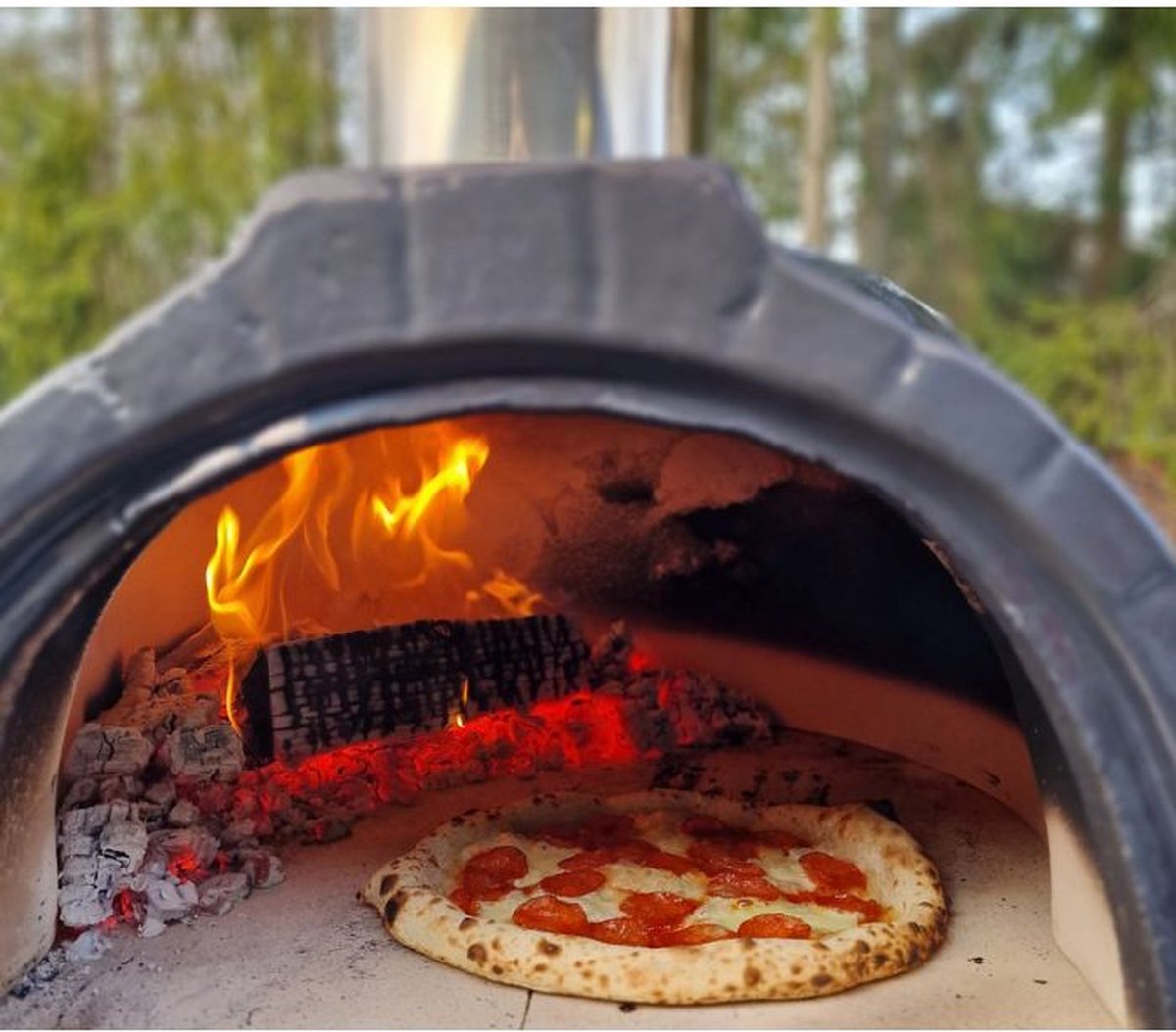 Mustang Dome Pizza Oven