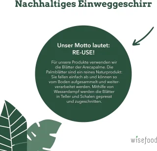 Palm leaf pizza corners wegwerp pizza borden 25 x 15 cm