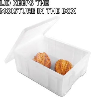 Pizza deegbox set 2 stuks - 25 x 30 & 40 x 30 cm