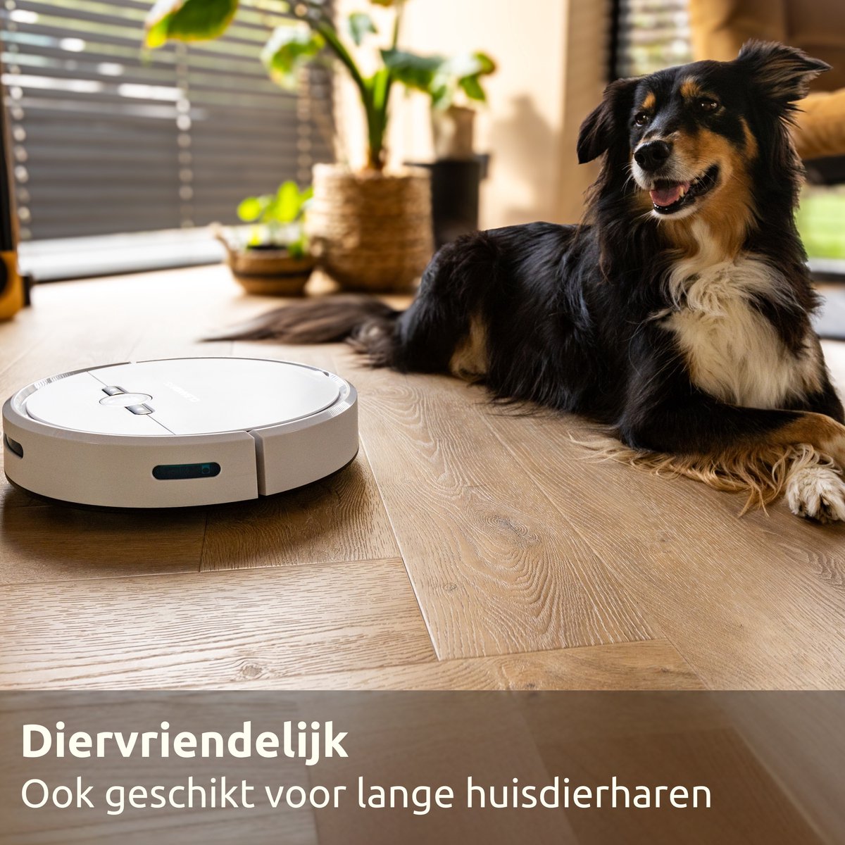 CleanDays D2-001 Robotstofzuiger met dweilfunctie