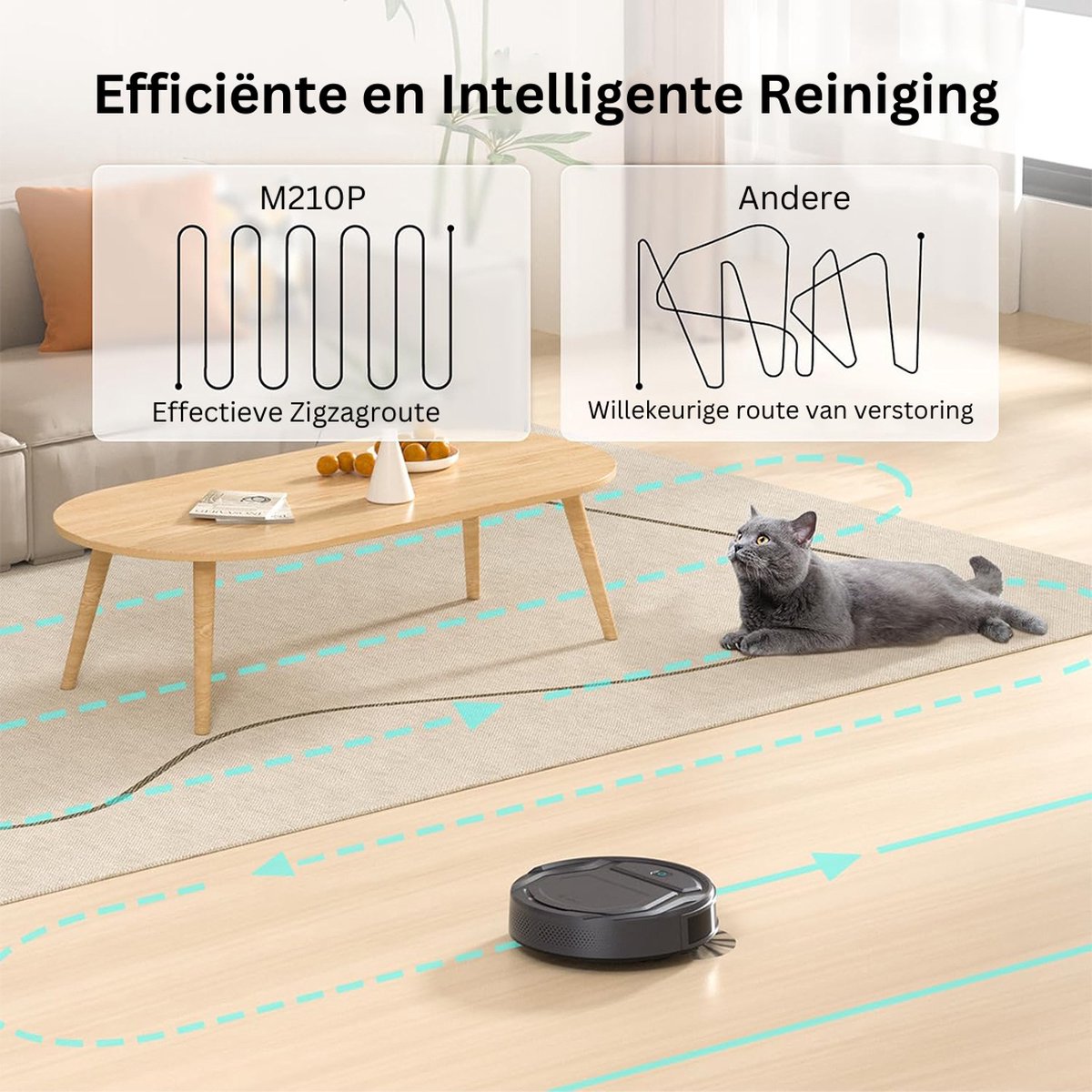 DailySupplies Robotstofzuiger met Laadstation Zwart