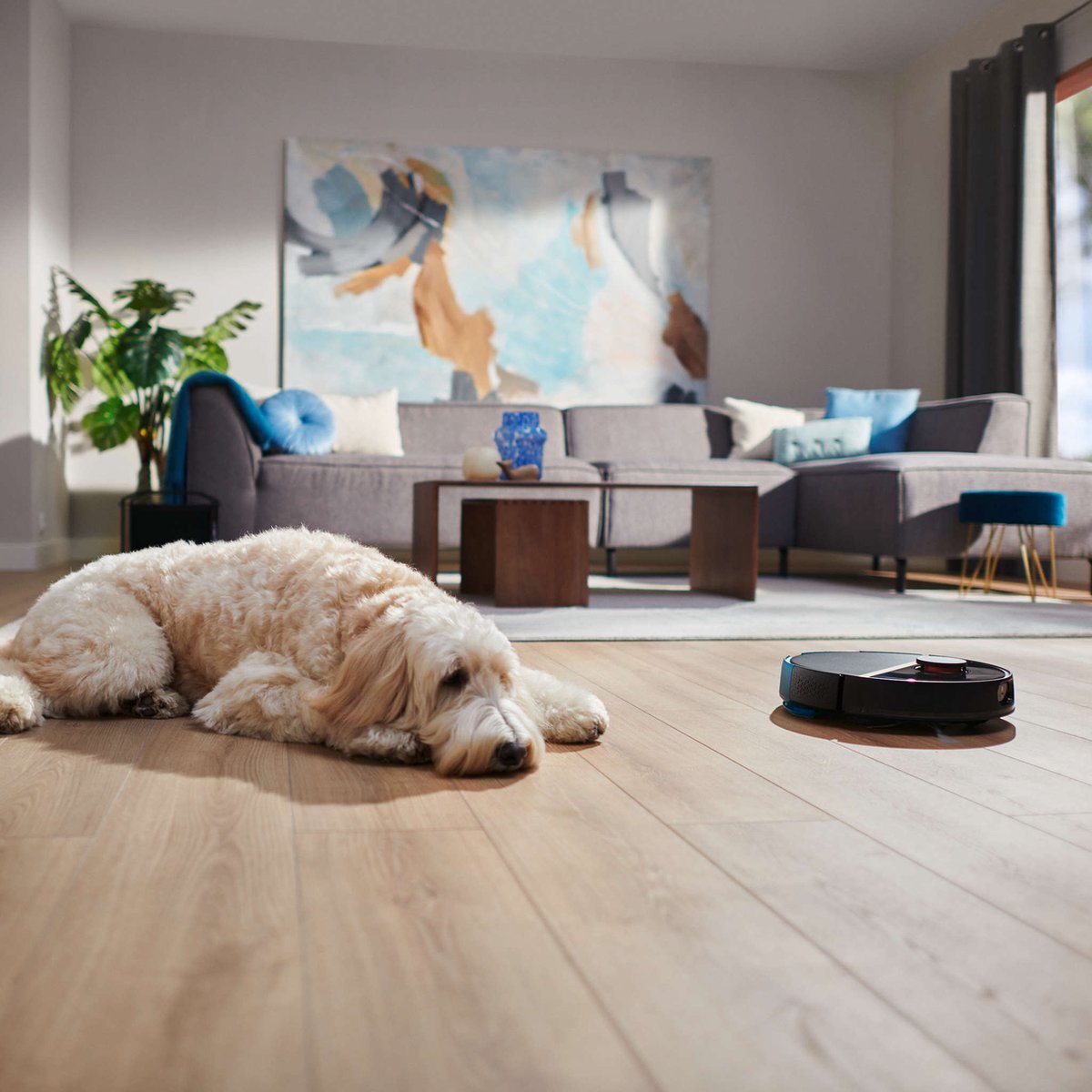 Philips HomeRun Aqua 7000 XU7000/01 Robotstofzuiger Zwart/Goud