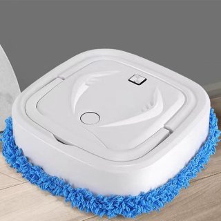 Wat vinden we goed aan de RFWR® Vloerveegrobot