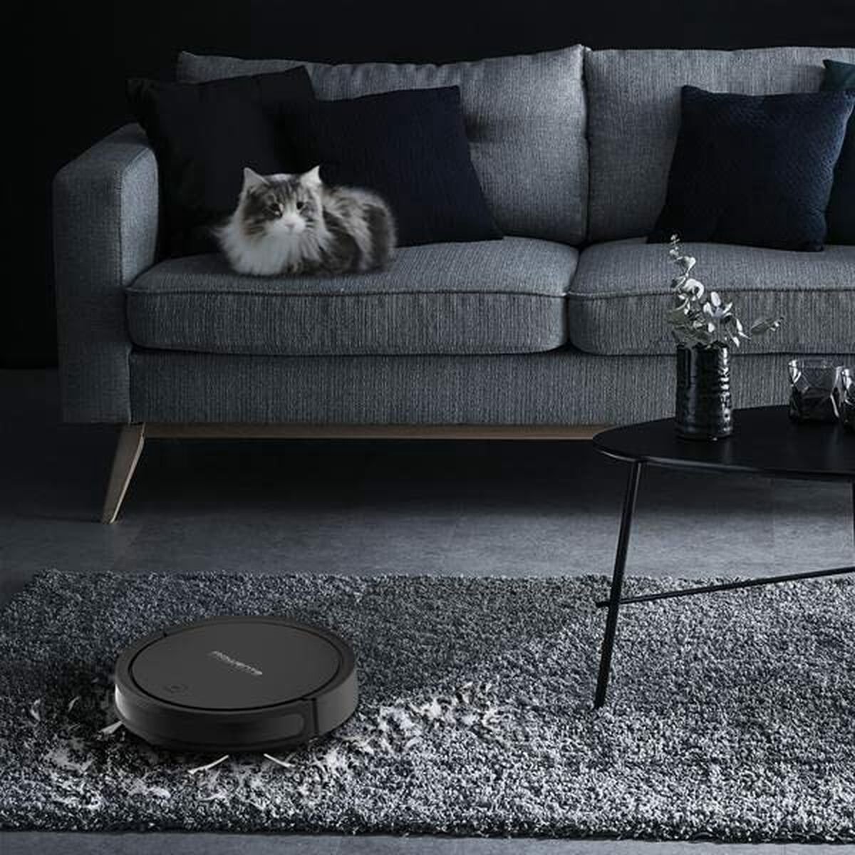 Rowenta RR7375WH Robotstofzuiger Zwart