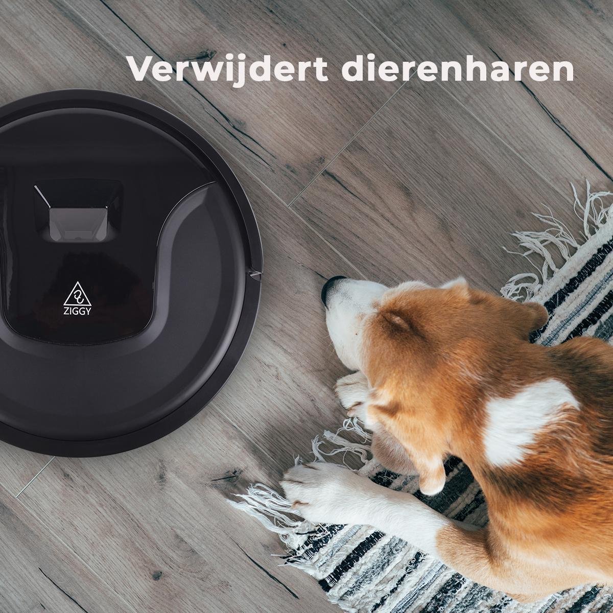 Ziggy Robotstofzuiger met Dweilfunctie Smart Wifi