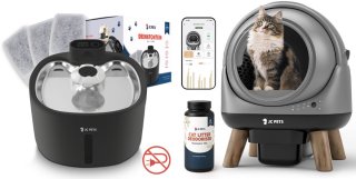 De  in één oogopslag