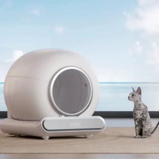 De  in één oogopslag