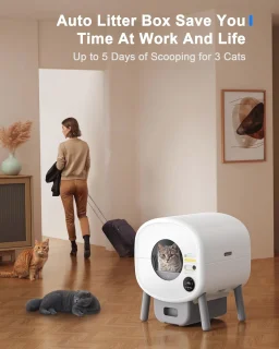 Automatische Zelfreinigende Kattenbak 65L - Slimme App Bediening voor Meerdere Katten