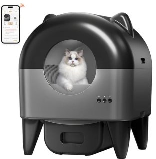 De  in één oogopslag