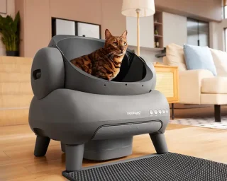 Automatische kattenbak Multi Kat Grijs