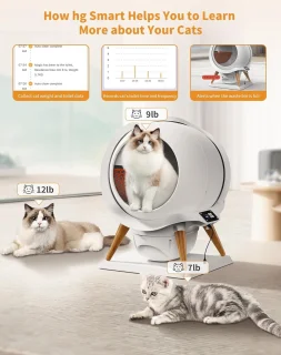 Automatische Kattenbak Slimme Sensoren Geurvrij Zelfreinigend